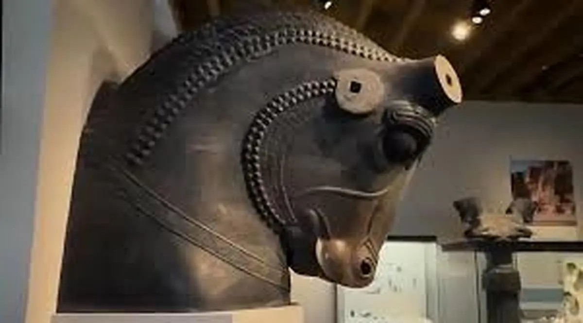 تندیس «سر گاو» تخت جمشید در آمریکا | پرشکوه‌ترین نماد هخامنشی در آمریکا +ویدئو