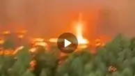 حادثه آتش سوزی در دل جنگل های ژیروند فرانسه + ویدئدو