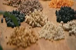 دستور پخت یک سوپ که گلایاتورها از آن می خوردند.»