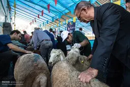  به هیچ وجه دام را در منازل و معابر عمومی ذبح نکنید 