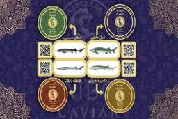 خرید خاویار اصل با بهترین قیمت روز