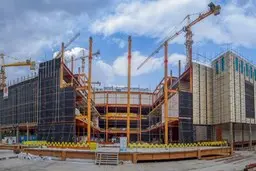 برندگان خانه‌سازی در عصر تورمی
