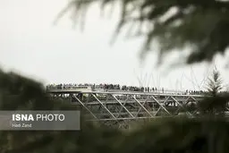  ایام سوگواری  | پل طبیعت درتهران شب عاشورا قرمز می‌شود