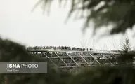  ایام سوگواری  | پل طبیعت درتهران شب عاشورا قرمز می‌شود