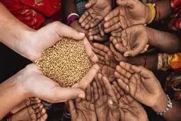 بحران جهانی غذا قریب‌الوقوع است
