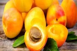 زردآلو میوه ای است که نباید بعداز غذا خورد