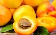 زردآلو میوه ای است که نباید بعداز غذا خورد