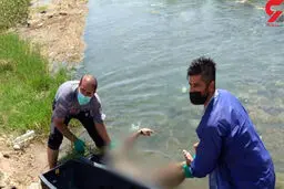 کشف جسد گردشگر جوان در آبشار بیشه