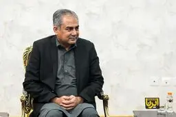 وزیر کشور پاکستان تا ساعاتی دیگر به تهران سفر می‌کند

