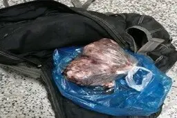 شکارچیان خوک در مازندران بازداشت شدند