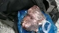 شکارچیان خوک در مازندران بازداشت شدند