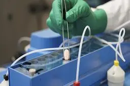 مجوز استفاده از نخستین قرص علیه بیماری کووید-۱۹ صادر شد