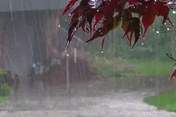 پیش بینی بارندگی در این شهرها | گرد و خاک دوباره آغاز شد 