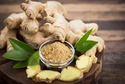 ساده ترین روش قلمه زدن زنجبیل | با این روش راحت زنجبیل بکار +ویدئو