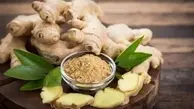ساده ترین روش قلمه زدن زنجبیل | با این روش راحت زنجبیل بکار +ویدئو
