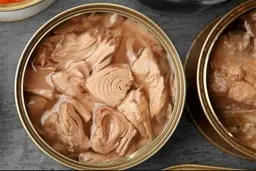 کنسرو ماهی سالم‌تر را چگونه انتخاب کنیم؟ | بررسی میزان جیوه در ۶ نوع محبوب +ویدئو