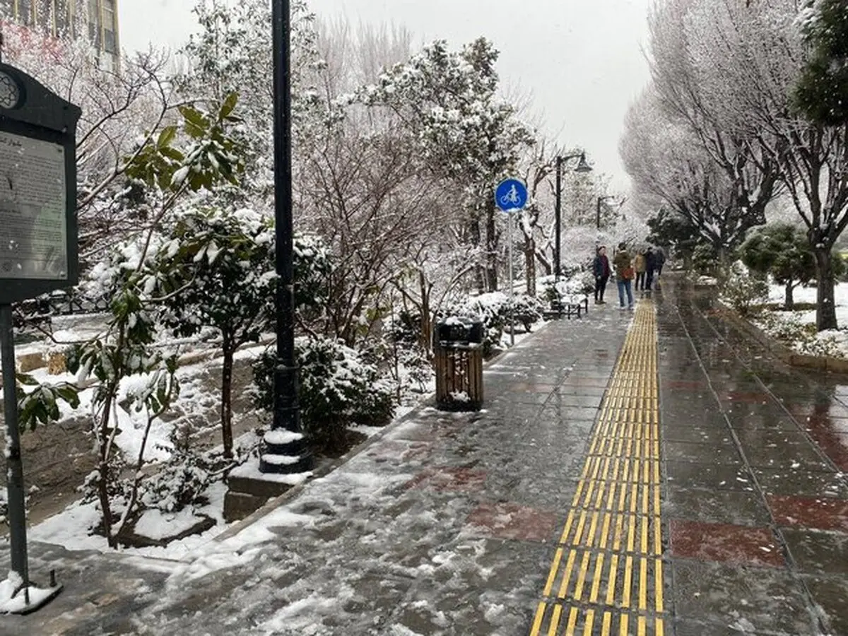 بارش برف و باران پراکنده در برخی استان‌ها |  کاهش دما تا ۱۰ درجه در شمال کشور | هشدار هواشناسی به این استان ها 