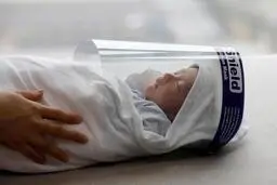از هجوم زنبورهای قاتل به آمریکا تا بازگشایی لیگ بِیسبال کره جنوبی + عکس