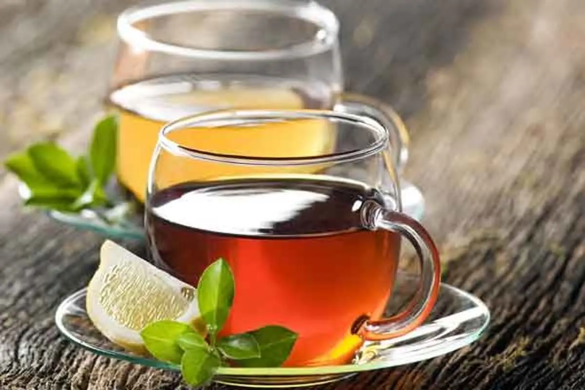 چای سبز بهتر است یا چای سیاه؟ |  مقایسه خواص این دو نوشیدنی محبوب