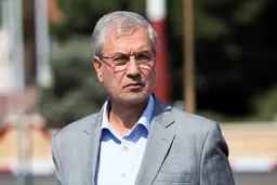 ربیعی: برخی کاندیداها از پخش پولهایی بین مردم حرف می زنند که موهوم است