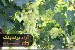 بهترین زمان برای پولدارشدن و رسیدن به موفقیت