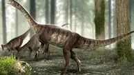 کشف گونه جدیدی از دایناسور ها که دانشمندان را سوپرایز کرد! | توی شکم این فسیل چی دیدن مگه؟