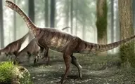 کشف گونه جدیدی از دایناسور ها که دانشمندان را سوپرایز کرد! | توی شکم این فسیل چی دیدن مگه؟