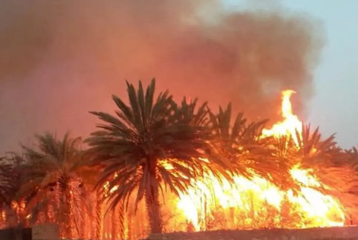  آتش سوزی  به هفت هکتار از نخلستان‌های نیکشهر خسارت زد