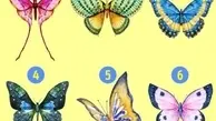 تست شخصیت شناسی | یکی از پروانه ها را انتخاب کنید و ببینید درباره شما چه می گوید!