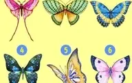 تست شخصیت شناسی | یکی از پروانه ها را انتخاب کنید و ببینید درباره شما چه می گوید!