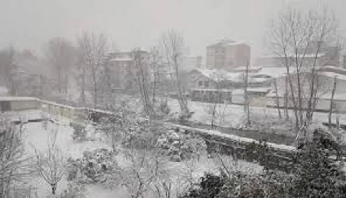 
استاندار گیلان: حدود 90 درصد راه های روستایی باز شده / احتمال تعطیلی برخی از مدارس استان وجود دارد
