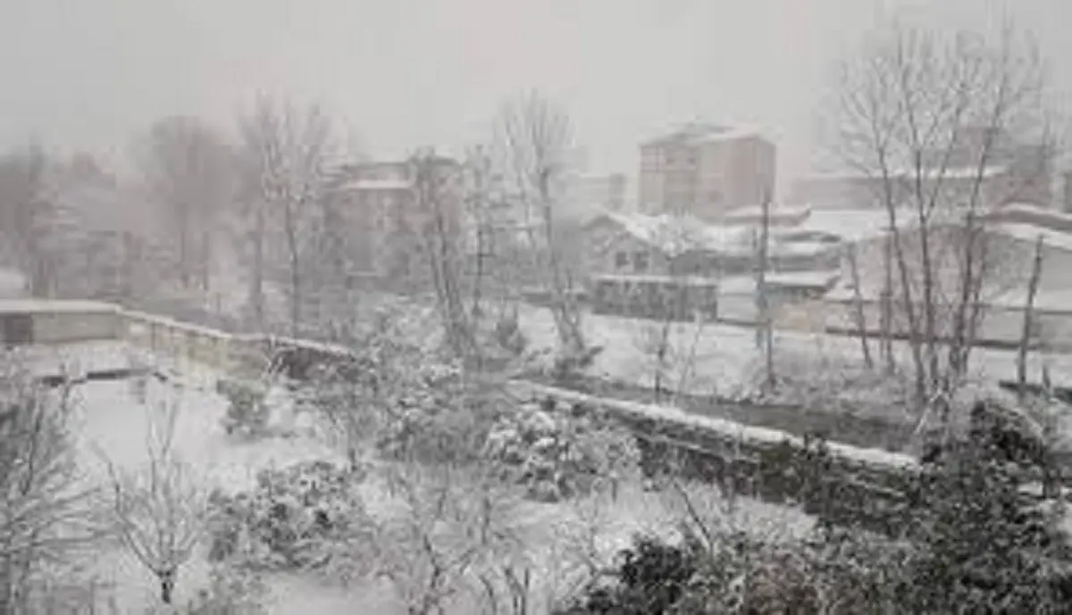 
استاندار گیلان: حدود 90 درصد راه های روستایی باز شده / احتمال تعطیلی برخی از مدارس استان وجود دارد
