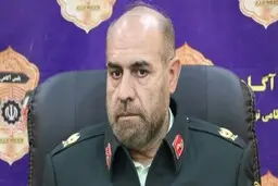 
دستگیری اخلالگر ارزی با تخلف ۱۳۲ میلیاردتومانی
