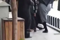 زن هتاک، بازداشت شد
