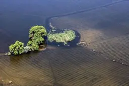 نظام سلامت کشور هنگام بحران و بلایا چقدر آماده است؟