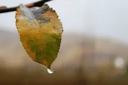 آبان امسال بسیار خشک و کم بارش خواهد بود