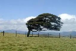 پیش بینی وزش باد شدید و  بارش باران و برف  در ارتفاعات