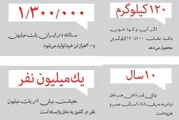  انجمن ملی خرما: تا اطلاع ثانوی فروش نخل قاچاق است