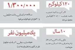  انجمن ملی خرما: تا اطلاع ثانوی فروش نخل قاچاق است