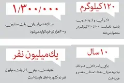  انجمن ملی خرما: تا اطلاع ثانوی فروش نخل قاچاق است