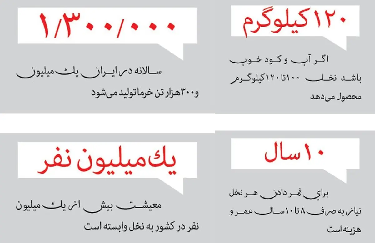 انجمن ملی خرما: تا اطلاع ثانوی فروش نخل قاچاق است