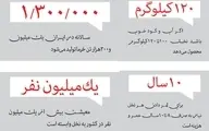  انجمن ملی خرما: تا اطلاع ثانوی فروش نخل قاچاق است