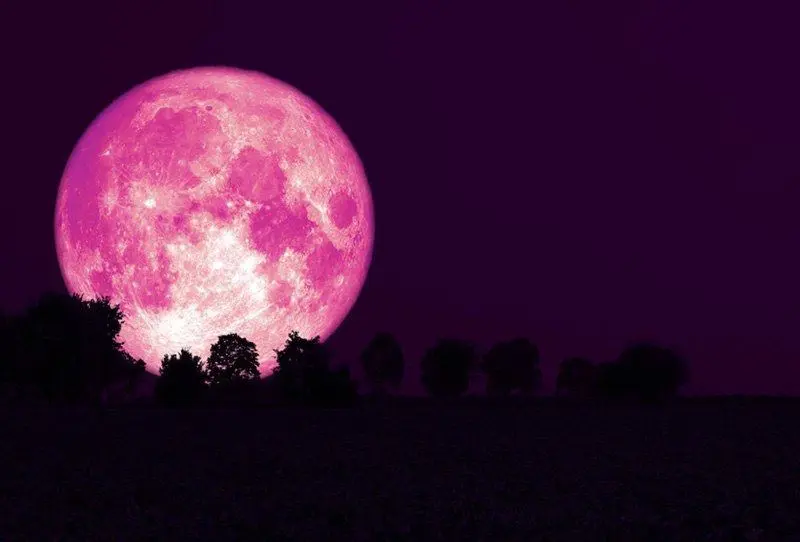 امشب ماه صورتی می‌شود | تماشای ماه را امشب از دست ندهید