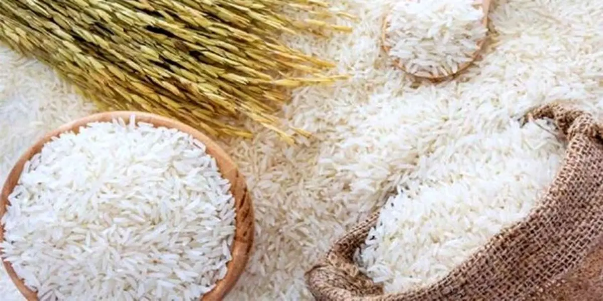  برنج بر اساس قیمت جدید توزیع می‌شود