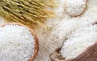  برنج بر اساس قیمت جدید توزیع می‌شود