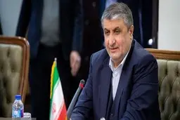 اسلامی: در آینده‌ای نزدیک سوخت تولید ایران را در نیروگاه بوشهر استفاده می‌کنیم