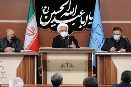 
محسنی‌اژه‌ای:‌ کلاهبرداران باید نقره‌داغ شوند