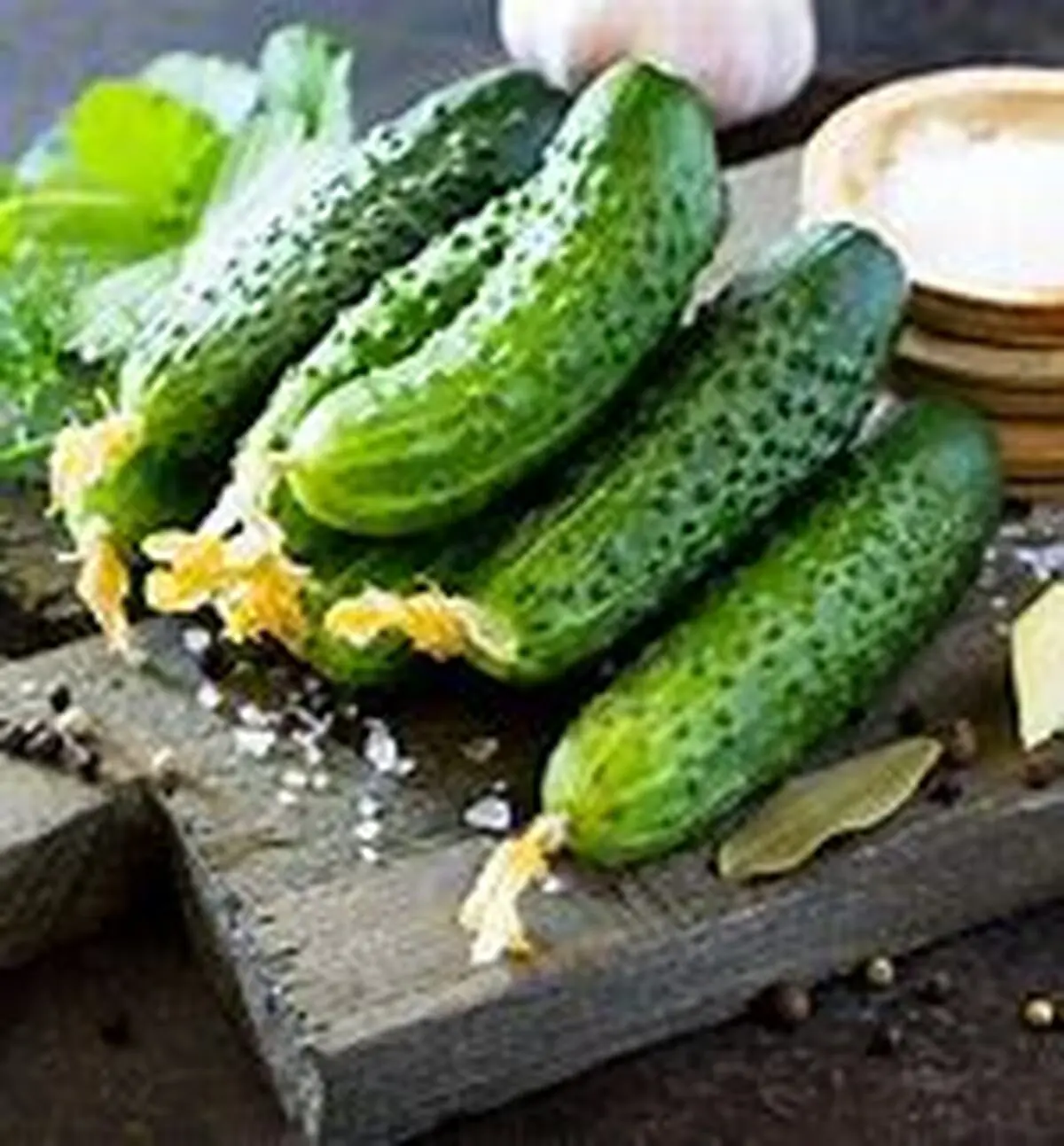 خیار؛ هم دوست و هم دشمن سلامتی! | چه کسانی نباید خیار بخورند؟