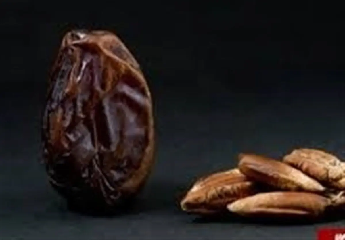 خواص شگفت انگیز هسته خرما