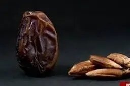 خواص شگفت انگیز هسته خرما